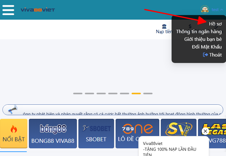 hồ sơ tài khoản viva88viet hồ sơ tài khoản viva88viet